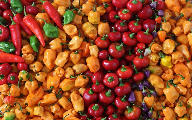 different types of hot peppers